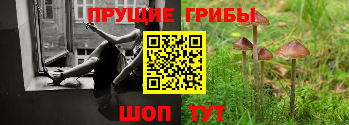 Псилоцибиновые грибы Magic Shrooms  Галлюциногенные грибы ЛСД  Волоколамск  Вход с VPN 